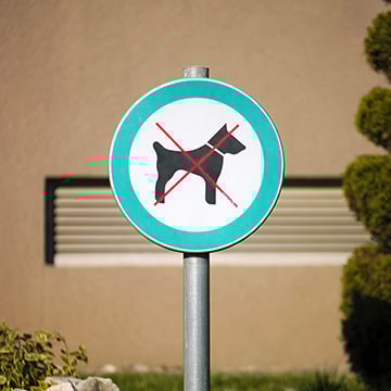 Are pets allowed at Comfort Inn Shelby, NC?